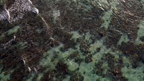 A-spectacular-4K-drone-shot-over-the-crystal-clear-Caribbean-Sea,-off-the-coast-near-Tulum,-Mexico