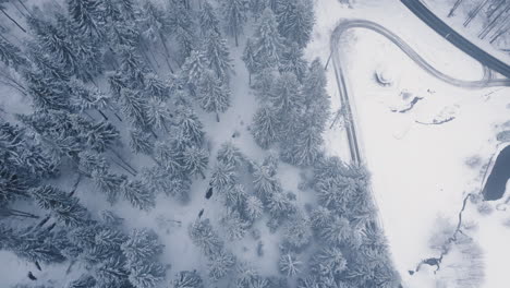 Langsame-Luftaufnahme-Eines-Schneebedeckten-Waldes,-Die-Einen-Verschneiten-Weg-Und-Eine-Ruhige-Straße-Zeigt
