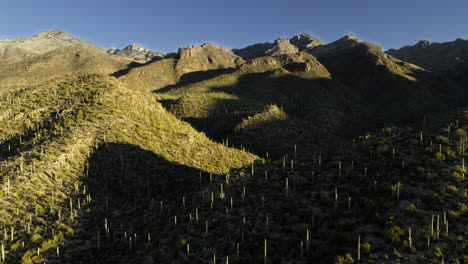 Imágenes-De-Drones-Volando-Sobre-Colinas-Cubiertas-De-Cactus-En-El-Desierto-De-Sonora-Con-Sombras-Dramáticas