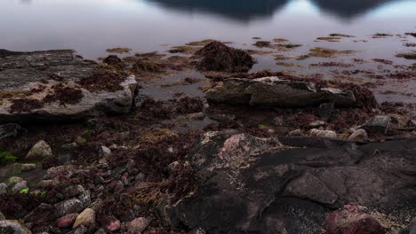 A-timelapse-of-the-rocky-bottom-covered-with-algae-exposed-by-the-receding-tide