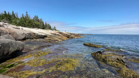 Serene-Boothbay-Harbor-oceanfront,-waves-rolling-in-through-rocky-seaweed-covered-coastline,-stationary-shot