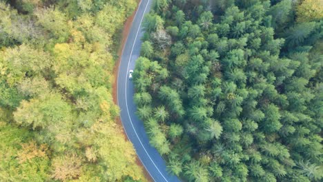 Aerial-view-of-self-driving-car-driving-on-country-road-through-forest