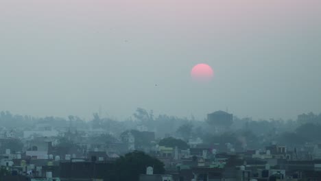 Golden-hour-red-sunset-through-fog-city-smog-with-houses-in-asia,-leaves-blowing-birds-flying-on-evening