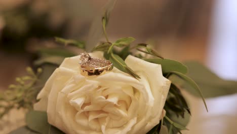 Wedding-Rings-on-a-White-Rose-Close-Up