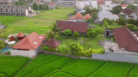 Rice-Fields-And-Vacation-Villas-In-Canggu,-Bali,-Indonesia---Aerial-Drone-Shot