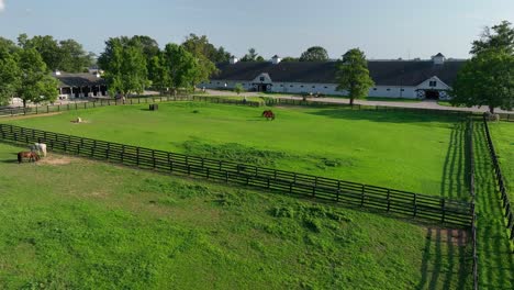 Lush-pastures-with-horses-at-the-Kentucky-Horse-Park,-enclosed-by-dark-fences