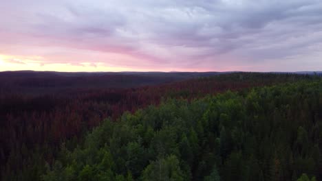 Sonnenuntergang-Hinter-Einem-Riesigen-Herbstwald-Unter-Bewölktem-Himmel