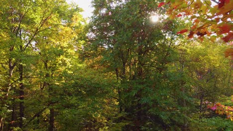 Drone-flying-along-Autumn-Forest-beauty-landscape-in-Montréal,-Québec
