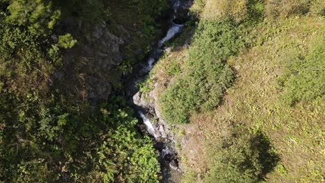 Drone-view-of-the-stream-flowing-through-the-mountain,-water-among-the-greenery
