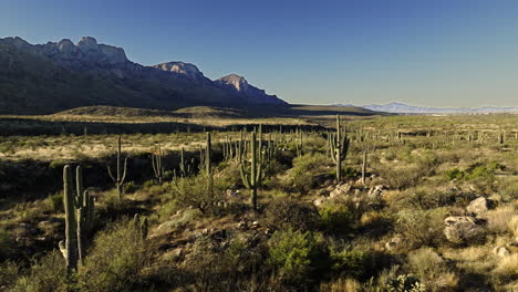 Imágenes-De-Drones-Volando-Hacia-El-Valle-En-El-Desierto-Con-Cactus