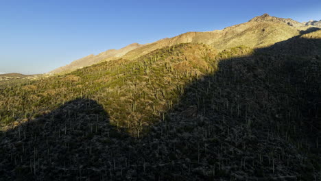 Drone-footage-flying-towards-mountain-cacti-with-stark-shadows-on-ground