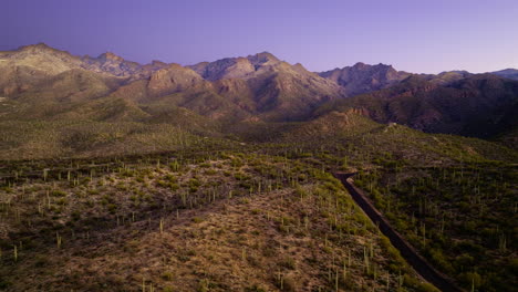Imágenes-De-Drones-Volando-Sobre-El-Desierto-Con-Cactus-De-Toda-Variedad.