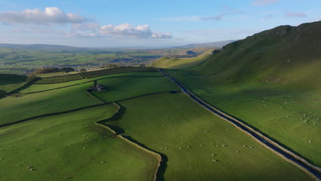 High-Establishing-Drone-Shot-of-Fields-of-Sheep-in-Yorkshire-Dales-UK
