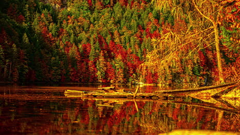 Wunderschöner,-Farbenfroher-Herbst-Im-Wald-Mit-Bergen-Und-See,-Statisch-Mit-Warmer-Morgensonne