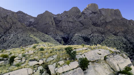 Amazing-drone-shot-of-cacti-on-steep-slope