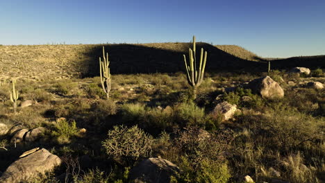 Aerial-views-capturing-the-Sonoran-desert-landscape