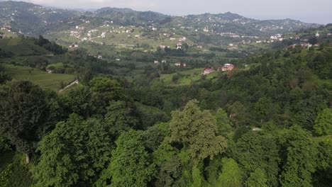 Drone-view-through-tea-gardens,-town-and-tea-cultivation,-Turkey