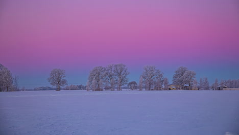 Pink-Hued-Horizon-Over-Winter-Nature-Covered-In-Snow