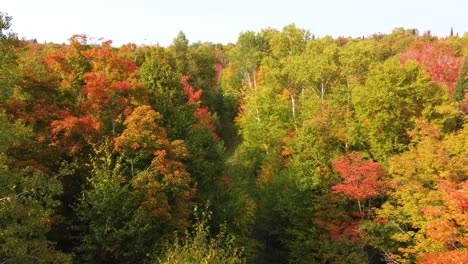 Gleiten-Durch-Bunte-Kanadische-Herbstblätter