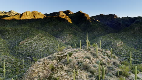 Drone-footage-of-mountain-cacti