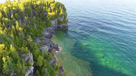 Cliff-forest-in-soft-light-pan-towards-underwater-rocks