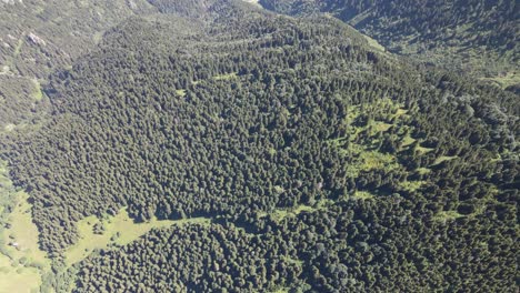 Drone-view-of-mountains-covered-with-forest,-green-nature-landscape