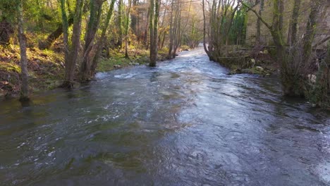 River-Flowing-Through-Autumn-Forest-In-A-Coruna,-Spain