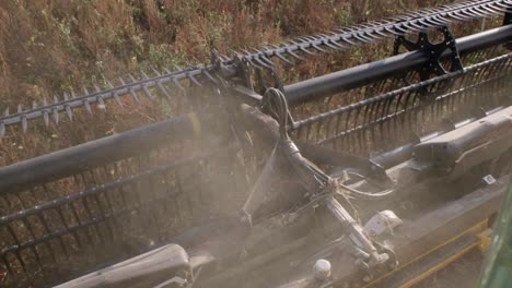 Combine-harvester-harvesting-organic-soybeans-on-sunny-day-slow-motion