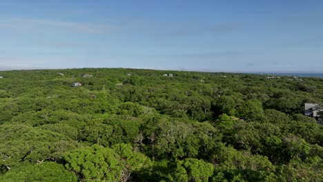 Drone-shot-pushing-over-a-green-forest-in-Martha's-Vineyard,-Massachusetts