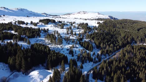A-moving-aerial-clip-of-the-Torfeno-Branishte-Nature-Reserve-mountain-plateau-covered-in-snow-and-golden-sunlight,-Vitosha,-Bulgaria