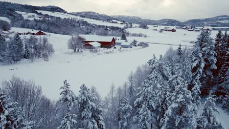 Wooden-Cabins-And-Cottages-In-Winter-Forest---Aerial-Shot