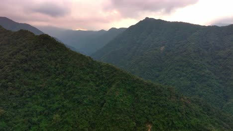Aerial-drone-shot-showing-beautiful-green-growing-mountains-during-cloudy-day-in-Wulai-烏來,-Taiwan