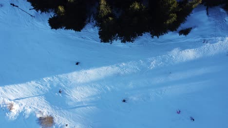 Static-top-down-aerial-clip-of-people-skiing-round-the-bend-of-a-mountain-slope-amidst-coniferous-forest-at-Vitosha-ski-resort-near-Sofia,-Bulgaria