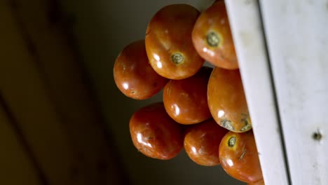 Tomaten-Zum-Kauf-Im-Supermarkt-Erhältlich-–-Vertikale-Aufnahme