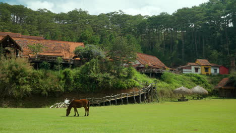 House-Grazes-Grass-in-A-Meadow,-Cu-Lan-Ethnic-Village-Houses-in-Da-Lat,-Vietnam---pan