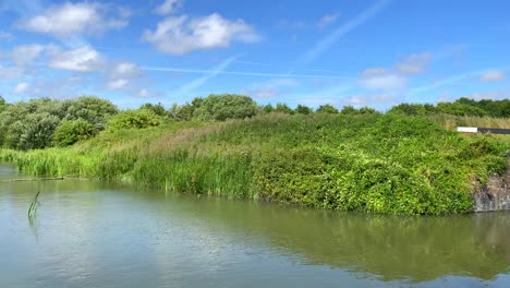 Nice-summer-day-on-the-Kennet-and-Avon-Canal-with-birds-in-Devizes-England,-sunny-weather-with-green-fields-and-nature,-blue-sky,-4K-shot