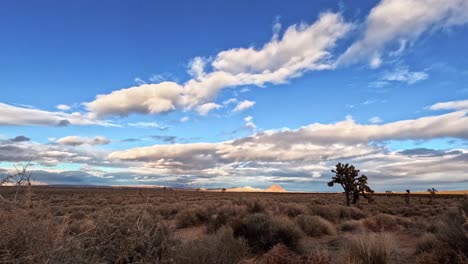 Expansive-desert-landscape-with-a-clear-blue-sky,-scattered-clouds,-and-a-lone-Joshua-tree,-timelapse