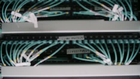 Netzwerkserver-Panel-Mit-Mehreren-Ethernet-Kabeln,-Die-An-Ports-Angeschlossen-Sind,-Was-Auf-Die-Datenkommunikationsinfrastruktur-Hinweist