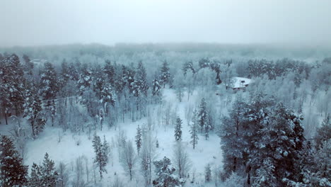 Beautiful-winter-landscape-in-Lapland-countryside