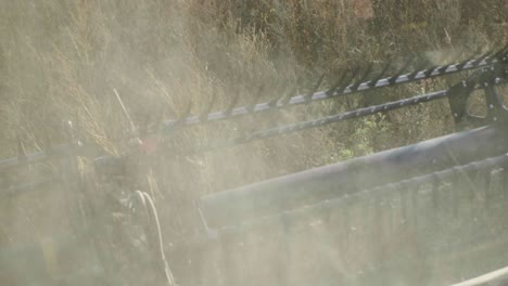 Combine-harvester-harvesting-organic-soybeans-on-sunny-day-slow-motion