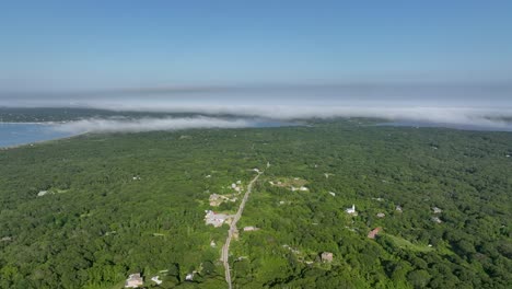 Drone-shot-the-rural-forests-of-Martha's-Vineyard,-Massachusetts
