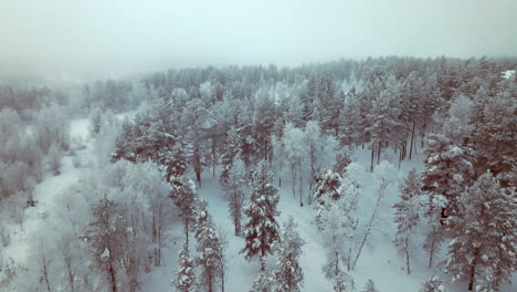 Aerial-flying-forward-over-forest-after-snowfall,-Lapland