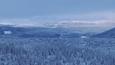 Coniferous-Forest-And-Mountains-Covered-In-Snow-During-Winter---Aerial-Drone-Shot