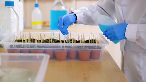 А-scientist-puts-a-preparation-into-plant-samples