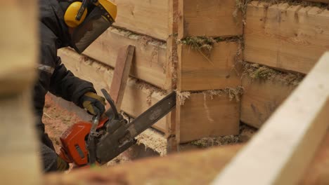 Worker-with-safety-gear-is-cutting-with-chainsaw-timber-log-house