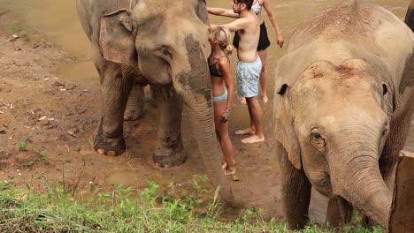 Blonde-young-woman-mud-bathing-Sanctuary-elephants-and-rubbing-skin-with-pit-dirt