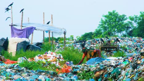Indische-Frau-Gräbt-Auf-Mülldeponie,-Hartes-Leben-In-Slums