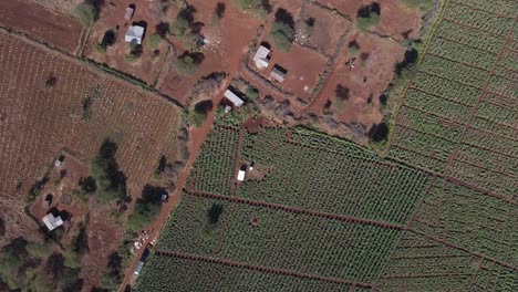 Sustainable-farming-on-African-savanna-in-Southern-Kenya,-aerial-top-down