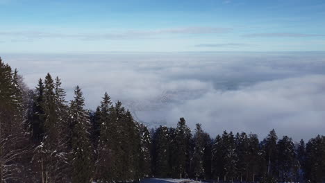 Nebelmeer-Mit-Bäumen-Im-Vordergrund-Im-Winter