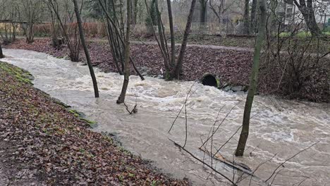 Die-Tosenden-Bachgewalten-Der-Natur-Nach-Heftigen-Regenfällen-Im-Mendener-Sauerland